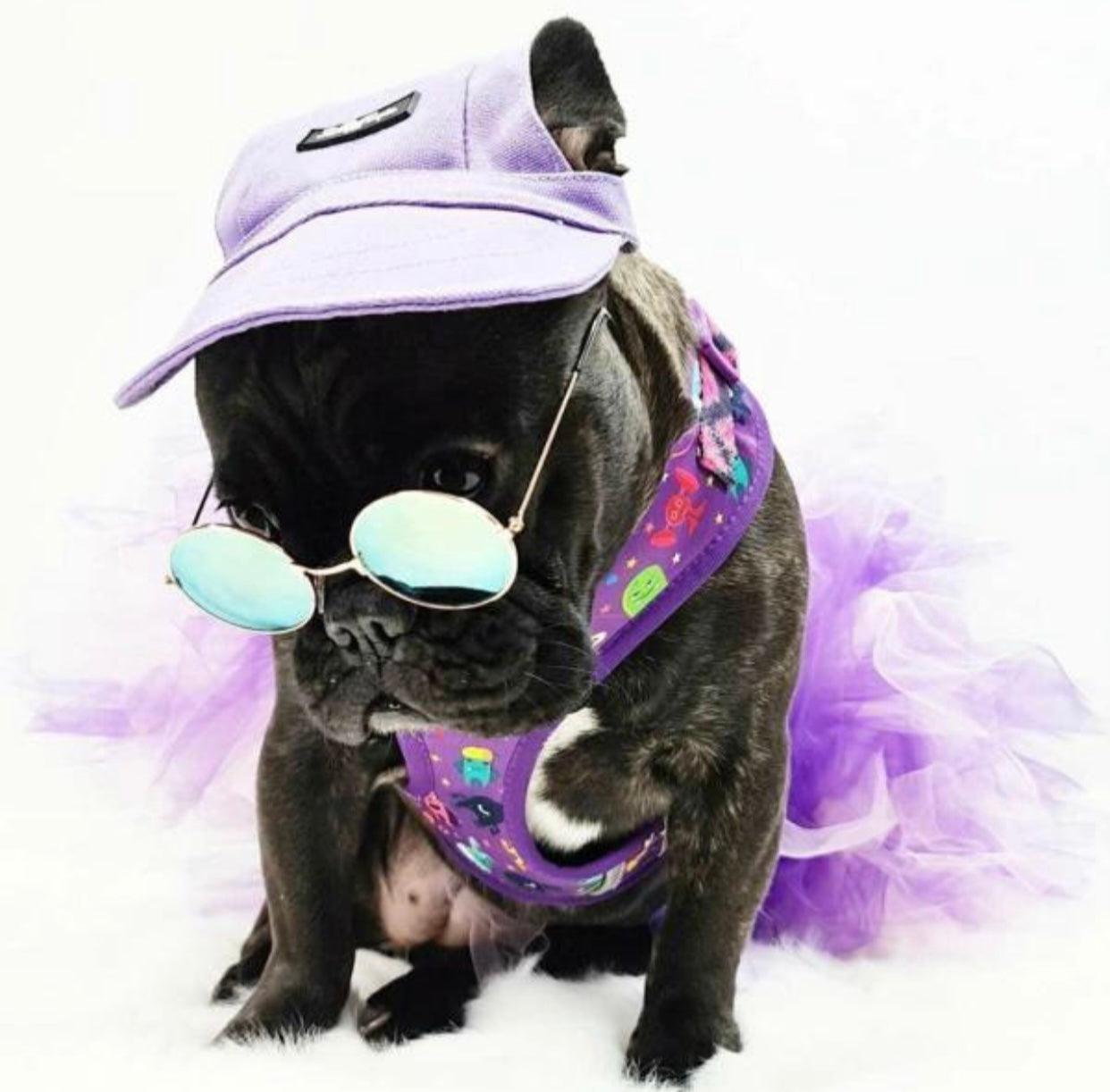 Pets Cap Purple-3