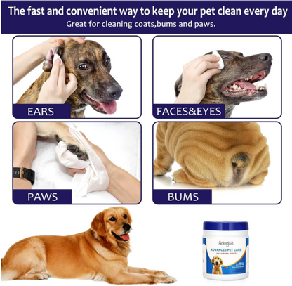 AdogluS All-Purpose Dog Wipes with Free Cotton Swabs