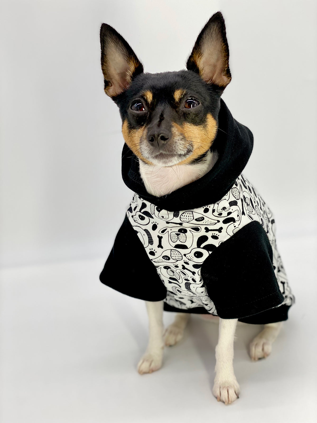 DCNY: Iconic "Pup Art" Designer Dog Hoodie-0